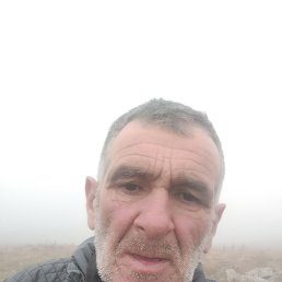 , 57, 
