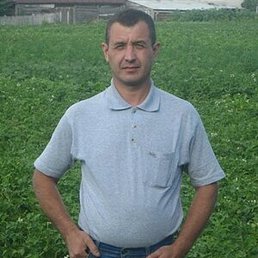 ������, ������, 59 ���