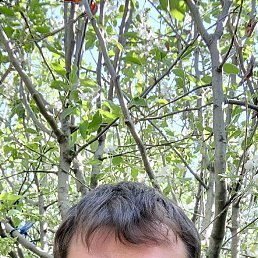 , 37, 