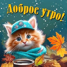 ���� �����, �����������, 37 ��� - ��������� 14 ������ 2023