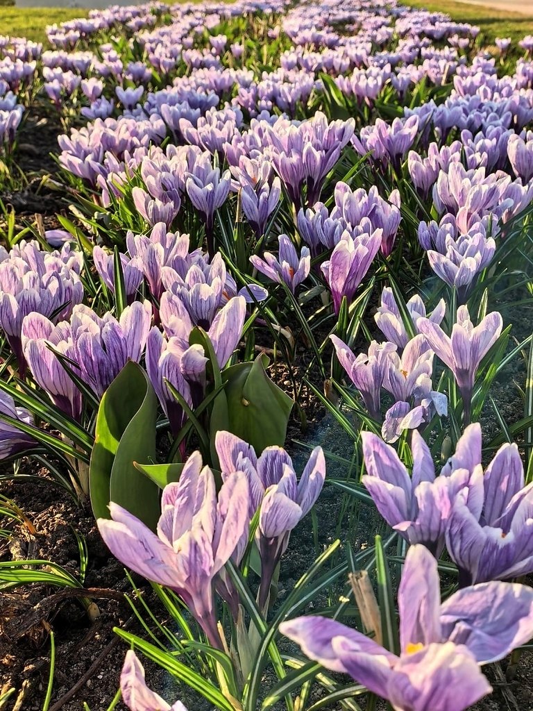 ����.����: ����� ������� - 4
