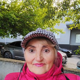 , 65, 