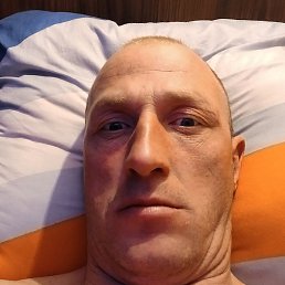 ����, �����-���������, 43 ����