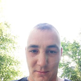, 29, 