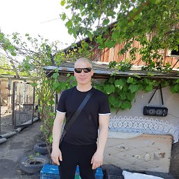 , 39, 