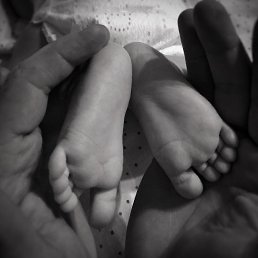 ���� �������, �����, 39 ��� - ��������� 6 ������ 2026