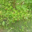���� ����, ���� - ��������� 3 ������� 2026 � ������ ����������