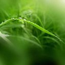  , -, 35  -  18  2025    