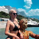 ���� �������, ������, 37 ��� - ��������� 3 ������ 2026 � ������ ���� ����������