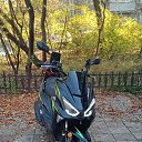 ���� �����, ������, 40 ��� - ��������� 20 ������ 2024