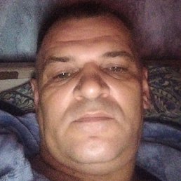 ������, �����, 44 ����