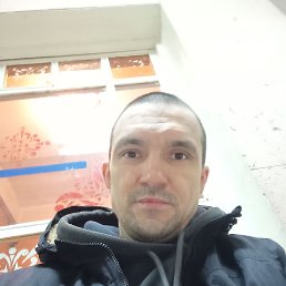 , 37, 