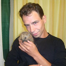 ���������, ��������, 45 ���