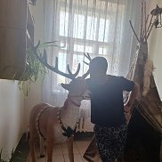 �����, 39 ���, ������