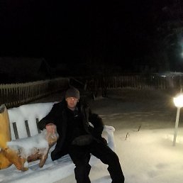 ����, �����-���������, 46 ���