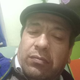 �������, �������, 53 ����