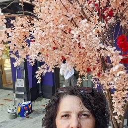 , 55, -
