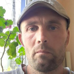  , 43 ,  