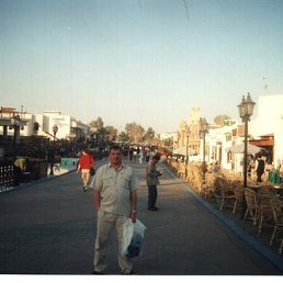 , 61, 