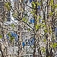 �����, 47 ���, ������