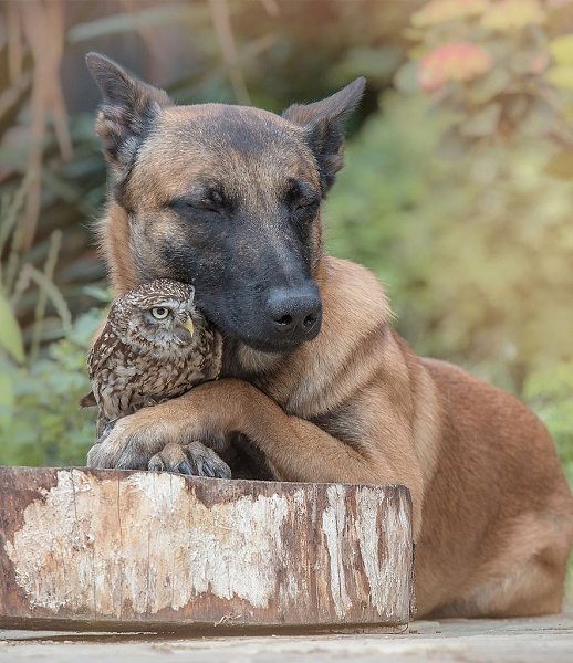 �������� �������� ���� ������ �������� �������� ����� ������ �������, ��� ����������� ������� ���� ... - 8