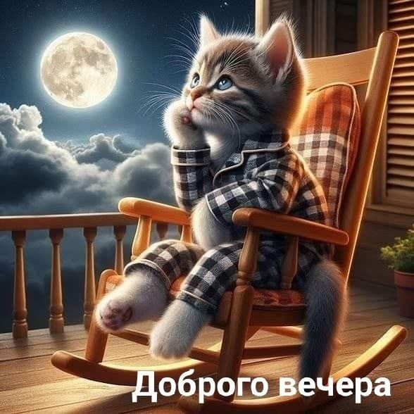   - 8  2025  18:36