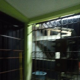 Agaza, �����������, 51 ���