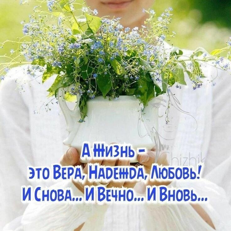   - 5  2025  11:31