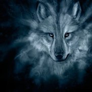 �����, 45 ���, ������