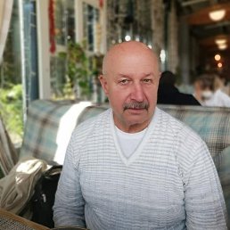 , 65, 