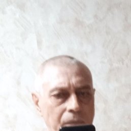 , 52 , 