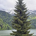 ���� ����, ���������, 61 ��� - ��������� 19 ���� 2026 � ������ ���� ����������
