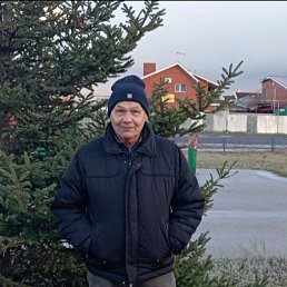 ����, 54 ����, ������