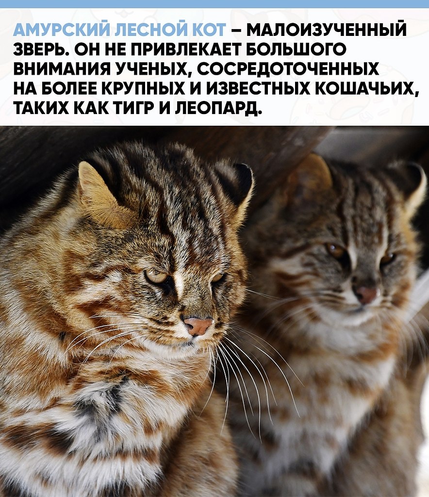 ���� ��� �����, ��������� � ��������� � ��������, �������� ����� �� ����� ����������. ��-�� ����� ... - 2