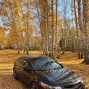 ���� ���������, ������, 42 ���� - ��������� 25 ���� 2025 � ������ ���� ����������