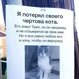 �������, ������, 38 ���