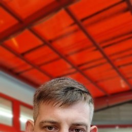 ������, 37 ���, ���������