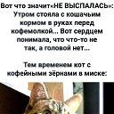 ���� �������, �����������, 66 ��� - ��������� 25 ������ 2026 � ������ ������ ��������