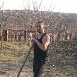 ���� C, �������, 43 ���� - ��������� 24 ����� 2024