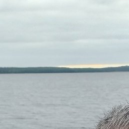 Valentin, �����-���������, 48 ���