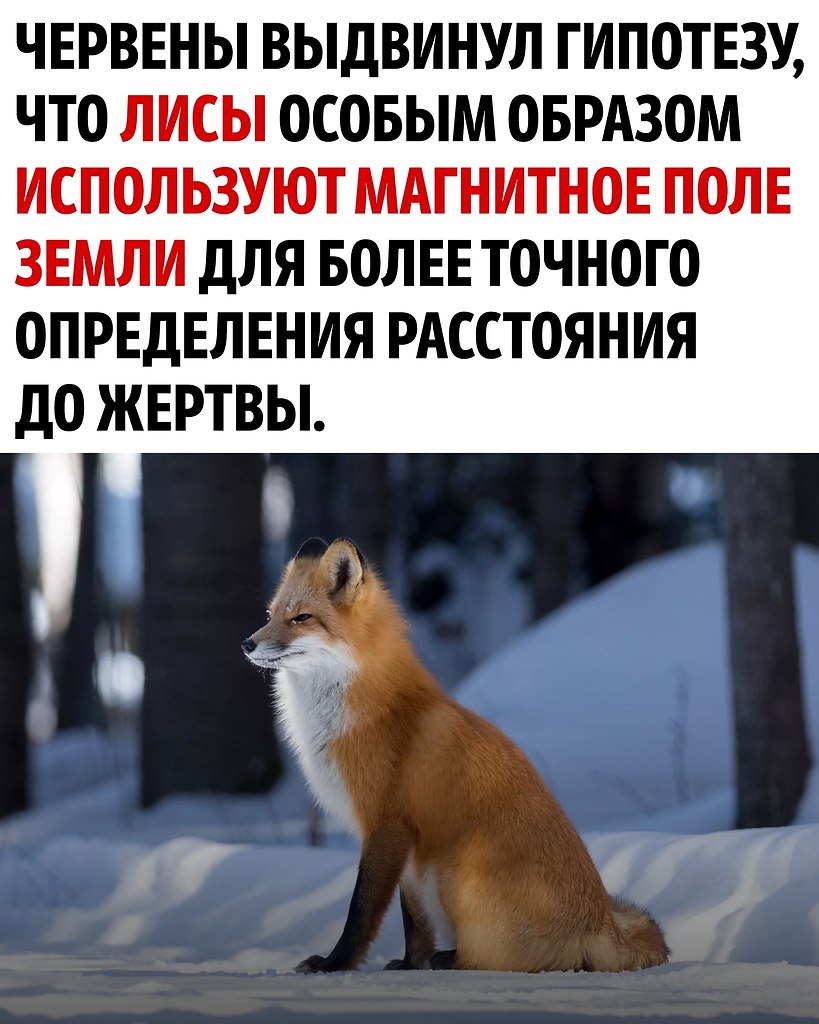     - 4