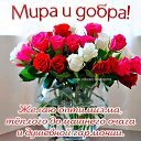 ���� ������, ������, 74 ���� - ��������� 8 ������� 2025 � ������ ������ ��������