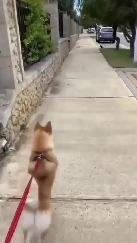 ������� ���������� ����� ��� � ����� - 2