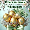 ���� ���, ������, 66 ��� - ��������� 12 ������ 2026 � ������ ���� ����������