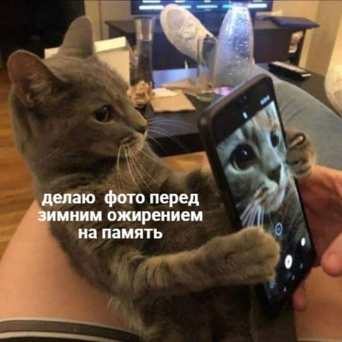 ��� �������� �������� - 26 ������� 2024 � 23:15