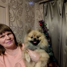 �����, ���������, 53 ����