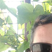 �����, 40 ���, ������