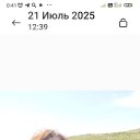  , , 52  -  27  2025