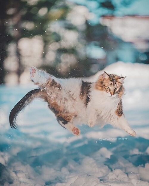   - 4