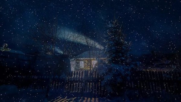 �����������